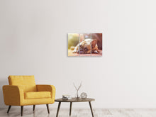 Laden Sie das Bild in den Galerie-Viewer, Leinwandbild 3-teilig Müde Bulldogge