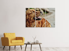 Laden Sie das Bild in den Galerie-Viewer, Leinwandbild 3-teilig Wachsamer Irish Setter