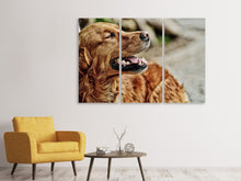 Laden Sie das Bild in den Galerie-Viewer, Leinwandbild 3-teilig Wachsamer Irish Setter