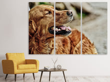 Laden Sie das Bild in den Galerie-Viewer, Leinwandbild 3-teilig Wachsamer Irish Setter