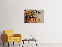 Laden Sie das Bild in den Galerie-Viewer, Leinwandbild 3-teilig Wachsamer Irish Setter