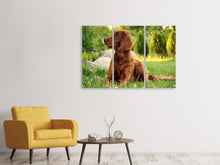 Laden Sie das Bild in den Galerie-Viewer, Leinwandbild 3-teilig Aufmerksamer Irish Setter