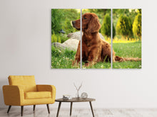 Laden Sie das Bild in den Galerie-Viewer, Leinwandbild 3-teilig Aufmerksamer Irish Setter