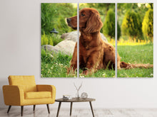 Laden Sie das Bild in den Galerie-Viewer, Leinwandbild 3-teilig Aufmerksamer Irish Setter