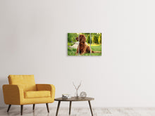 Laden Sie das Bild in den Galerie-Viewer, Leinwandbild 3-teilig Aufmerksamer Irish Setter
