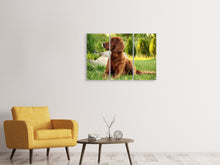 Laden Sie das Bild in den Galerie-Viewer, Leinwandbild 3-teilig Aufmerksamer Irish Setter