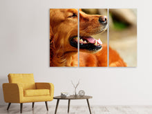 Laden Sie das Bild in den Galerie-Viewer, Leinwandbild 3-teilig Irish Setter Schnauze