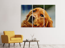 Laden Sie das Bild in den Galerie-Viewer, Leinwandbild 3-teilig Treuer Irish Setter