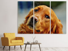 Laden Sie das Bild in den Galerie-Viewer, Leinwandbild 3-teilig Treuer Irish Setter