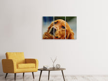 Laden Sie das Bild in den Galerie-Viewer, Leinwandbild 3-teilig Treuer Irish Setter