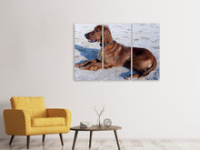 Laden Sie das Bild in den Galerie-Viewer, Leinwandbild 3-teilig Eleganter Irish Setter