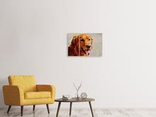 Laden Sie das Bild in den Galerie-Viewer, Leinwandbild 3-teilig Treue Seele