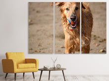 Laden Sie das Bild in den Galerie-Viewer, Leinwandbild 3-teilig Nasser Hund