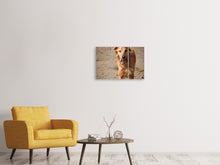 Laden Sie das Bild in den Galerie-Viewer, Leinwandbild 3-teilig Nasser Hund
