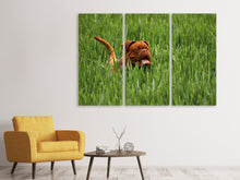 Laden Sie das Bild in den Galerie-Viewer, Leinwandbild 3-teilig Der Mastiff im Gras