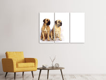 Laden Sie das Bild in den Galerie-Viewer, Leinwandbild 3-teilig 2 Mastiffs
