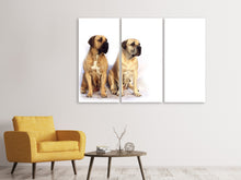 Laden Sie das Bild in den Galerie-Viewer, Leinwandbild 3-teilig 2 Mastiffs