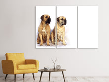 Laden Sie das Bild in den Galerie-Viewer, Leinwandbild 3-teilig 2 Mastiffs