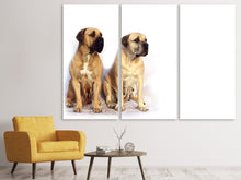 Laden Sie das Bild in den Galerie-Viewer, Leinwandbild 3-teilig 2 Mastiffs