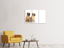 Laden Sie das Bild in den Galerie-Viewer, Leinwandbild 3-teilig 2 Mastiffs