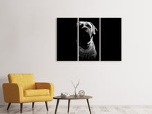 Laden Sie das Bild in den Galerie-Viewer, Leinwandbild 3-teilig Der Boerboel sw