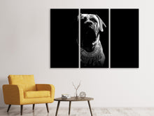 Laden Sie das Bild in den Galerie-Viewer, Leinwandbild 3-teilig Der Boerboel sw