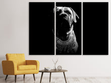Laden Sie das Bild in den Galerie-Viewer, Leinwandbild 3-teilig Der Boerboel sw