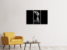 Laden Sie das Bild in den Galerie-Viewer, Leinwandbild 3-teilig Der Boerboel sw