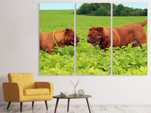 Laden Sie das Bild in den Galerie-Viewer, Leinwandbild 3-teilig 2 Schwergewichte