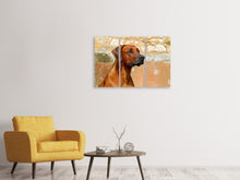 Laden Sie das Bild in den Galerie-Viewer, Leinwandbild 3-teilig Wachsamer Rhodesian Ridgeback