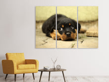 Laden Sie das Bild in den Galerie-Viewer, Leinwandbild 3-teilig Süsse Rottweiler Welpe