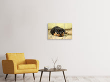 Laden Sie das Bild in den Galerie-Viewer, Leinwandbild 3-teilig Süsse Rottweiler Welpe