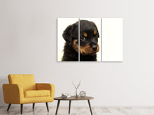 Laden Sie das Bild in den Galerie-Viewer, Leinwandbild 3-teilig Rottweiler Welpe zum Verlieben