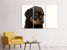 Laden Sie das Bild in den Galerie-Viewer, Leinwandbild 3-teilig Rottweiler Welpe zum Verlieben