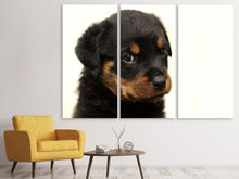 Laden Sie das Bild in den Galerie-Viewer, Leinwandbild 3-teilig Rottweiler Welpe zum Verlieben