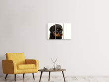 Laden Sie das Bild in den Galerie-Viewer, Leinwandbild 3-teilig Rottweiler Welpe zum Verlieben