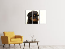 Laden Sie das Bild in den Galerie-Viewer, Leinwandbild 3-teilig Rottweiler Welpe zum Verlieben