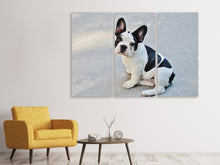 Laden Sie das Bild in den Galerie-Viewer, Leinwandbild 3-teilig Süsse Französische Bulldogge