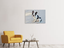 Laden Sie das Bild in den Galerie-Viewer, Leinwandbild 3-teilig Süsse Französische Bulldogge