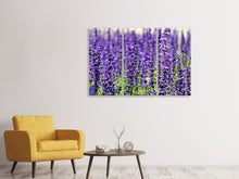 Laden Sie das Bild in den Galerie-Viewer, Leinwandbild 3-teilig XL Lavendel