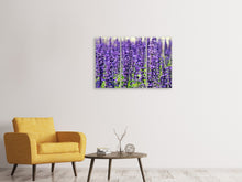 Laden Sie das Bild in den Galerie-Viewer, Leinwandbild 3-teilig XL Lavendel