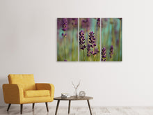 Laden Sie das Bild in den Galerie-Viewer, Leinwandbild 3-teilig Lavendel in XL