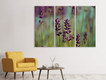 Laden Sie das Bild in den Galerie-Viewer, Leinwandbild 3-teilig Lavendel in XL