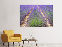 Laden Sie das Bild in den Galerie-Viewer, Leinwandbild 3-teilig Das Lavendel Feld