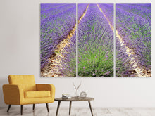 Laden Sie das Bild in den Galerie-Viewer, Leinwandbild 3-teilig Das Lavendel Feld
