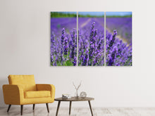 Laden Sie das Bild in den Galerie-Viewer, Leinwandbild 3-teilig Die Lavendelblüten
