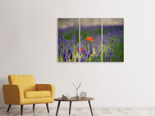 Laden Sie das Bild in den Galerie-Viewer, Leinwandbild 3-teilig Mohn im Lavendel