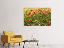 Laden Sie das Bild in den Galerie-Viewer, Leinwandbild 3-teilig Der Mohn im Wind