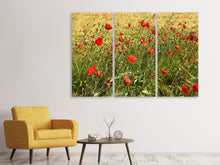 Laden Sie das Bild in den Galerie-Viewer, Leinwandbild 3-teilig Der Mohn im Wind
