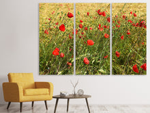 Laden Sie das Bild in den Galerie-Viewer, Leinwandbild 3-teilig Der Mohn im Wind